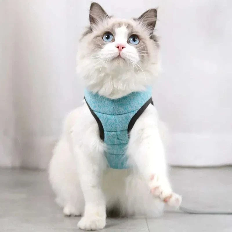 Cat Harness and Leash