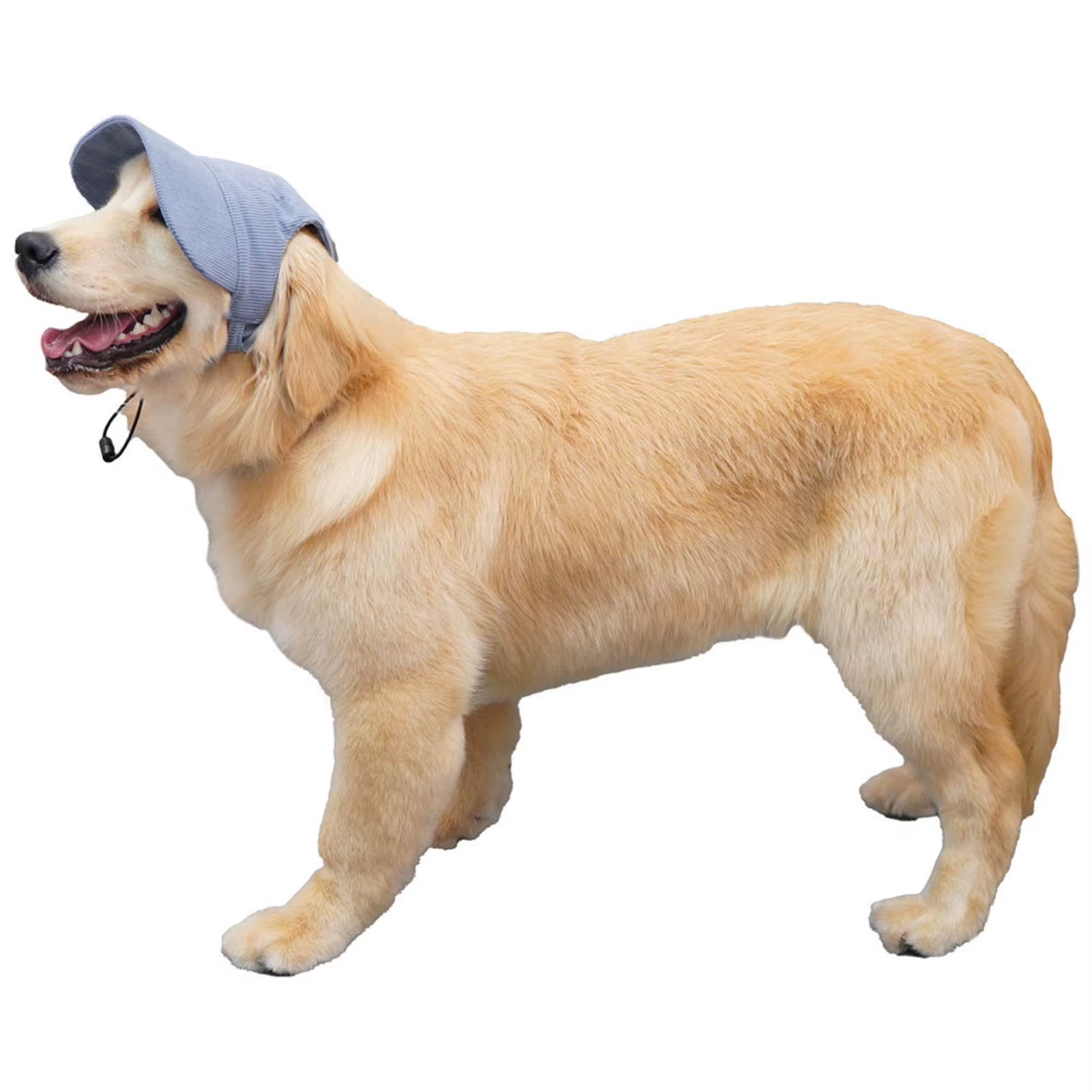 Pet Baseball Cap Breathable Lightweight Dog Hat for Small Medium Large Dogs