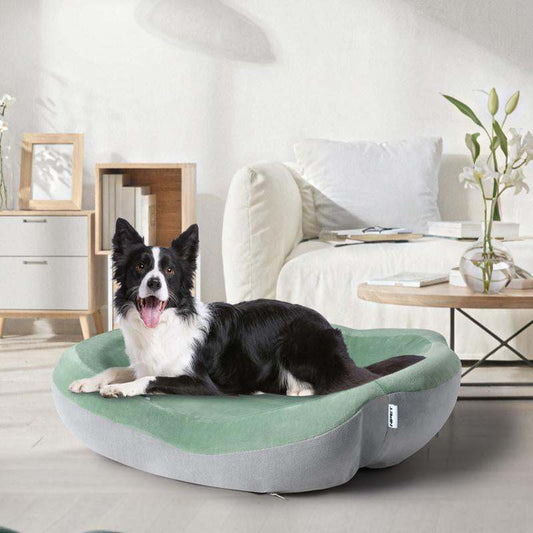Orthopedic waterproof pet couch bed with memory foam and non-slip bottom featuring a black and white dog lying comfortably in a modern living room setting
