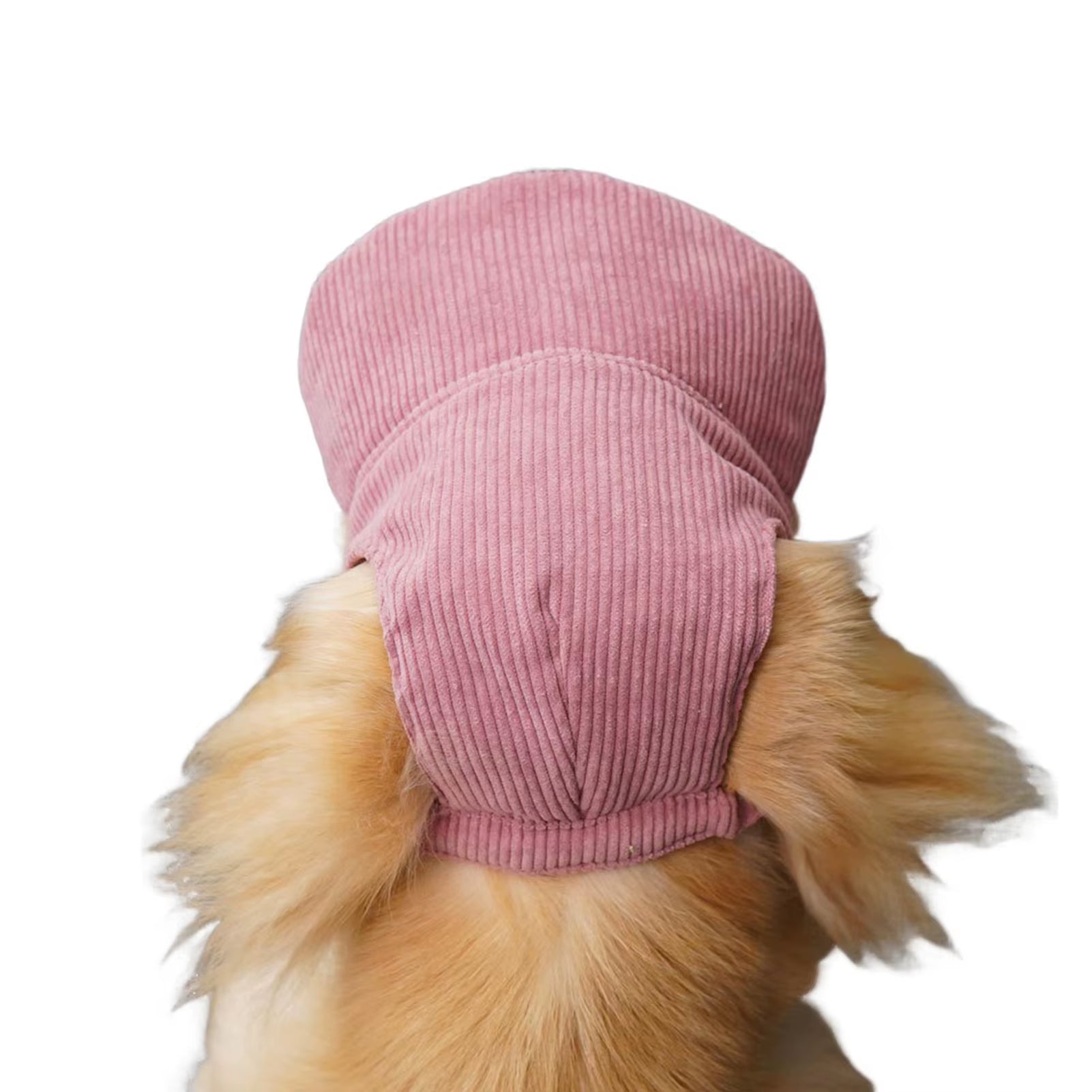 Pet Baseball Cap Breathable Lightweight Dog Hat for Small Medium Large Dogs