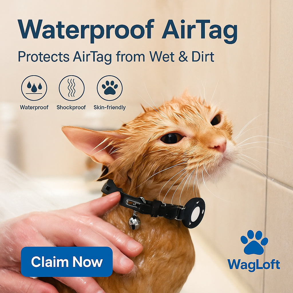 Reflective AirTag Cat Collar – Breakaway Safety, Waterproof Holder, Bell & Adjustable (7–12")