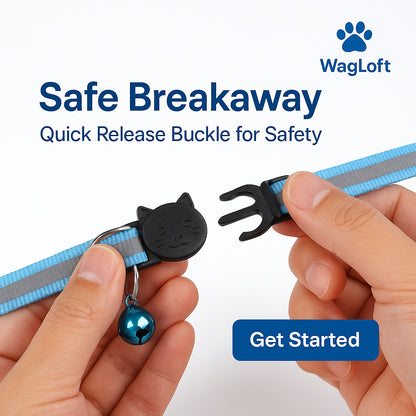 Reflective AirTag Cat Collar – Breakaway Safety, Waterproof Holder, Bell & Adjustable (7–12")