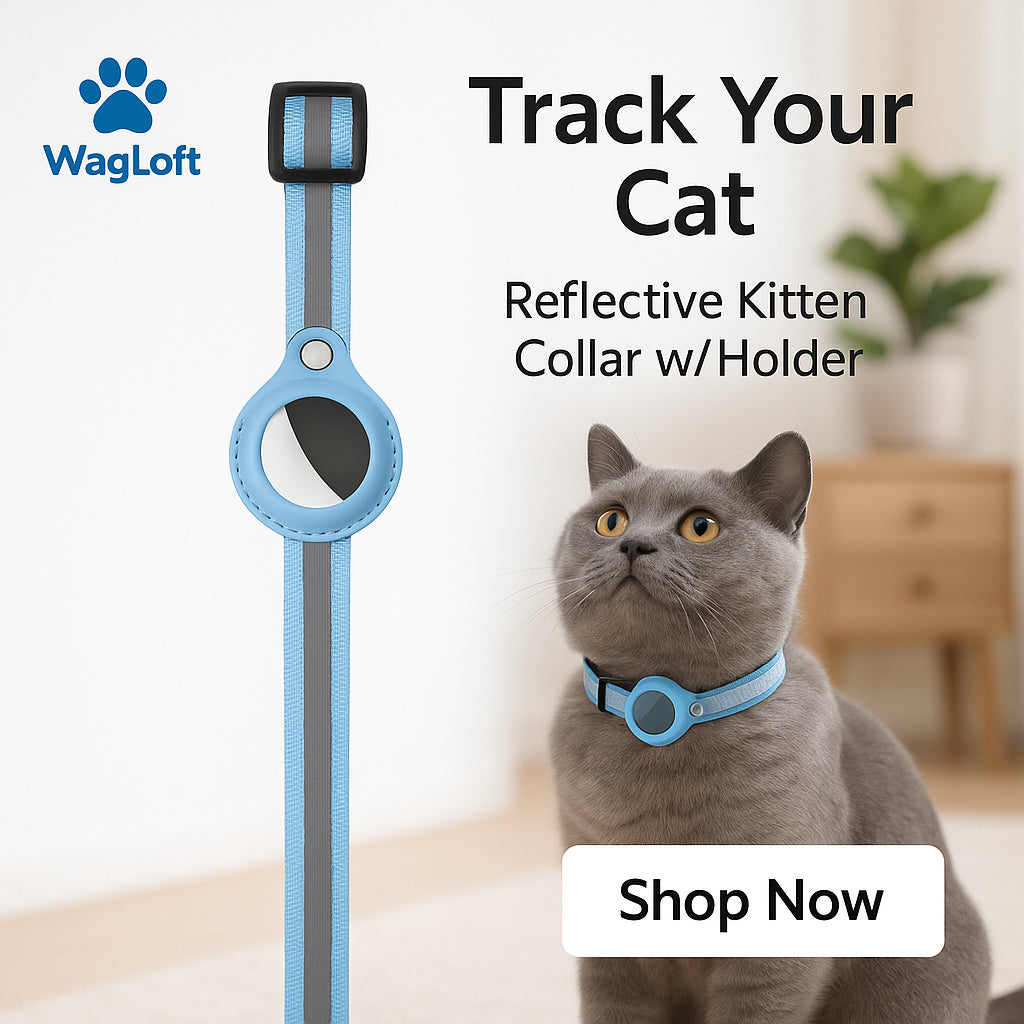 Reflective AirTag Cat Collar – Breakaway Safety, Waterproof Holder, Bell & Adjustable (7–12")