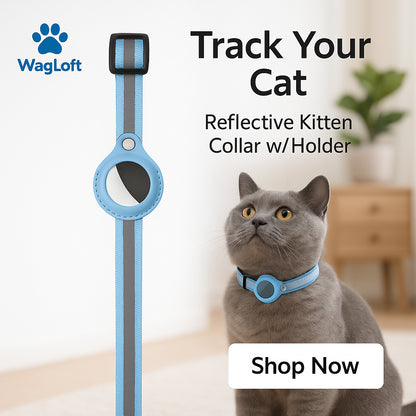 Reflective AirTag Cat Collar – Breakaway Safety, Waterproof Holder, Bell & Adjustable (7–12")