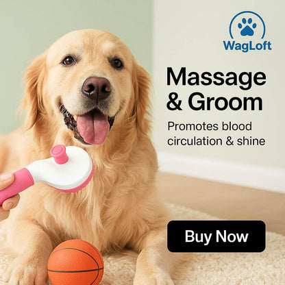 Self-Cleaning Pet Hair Remover Slicker Brush for Dogs & Cats - Deshedding Grooming Comb