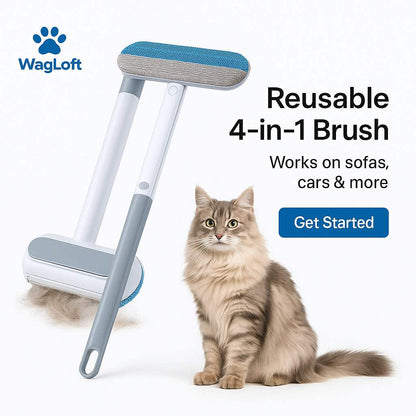 4-in-1 Reusable Pet Hair Remover Brush – Long Handle, Lint-Free Sofa & Car