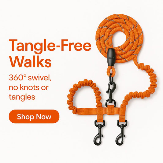 Dual Tangle-Free Dog Leash with Shock Absorbing Bungee & Reflective Strips – No-Pull for 2 Dogs