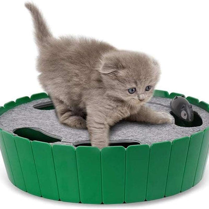 Pawaboo 4 Holes Whack-A-Mole Electric Cat Toy, Interactive Cat Toy with Running Mouse, Pop and Play Hide Seek Cat Toy,Pet Supplies