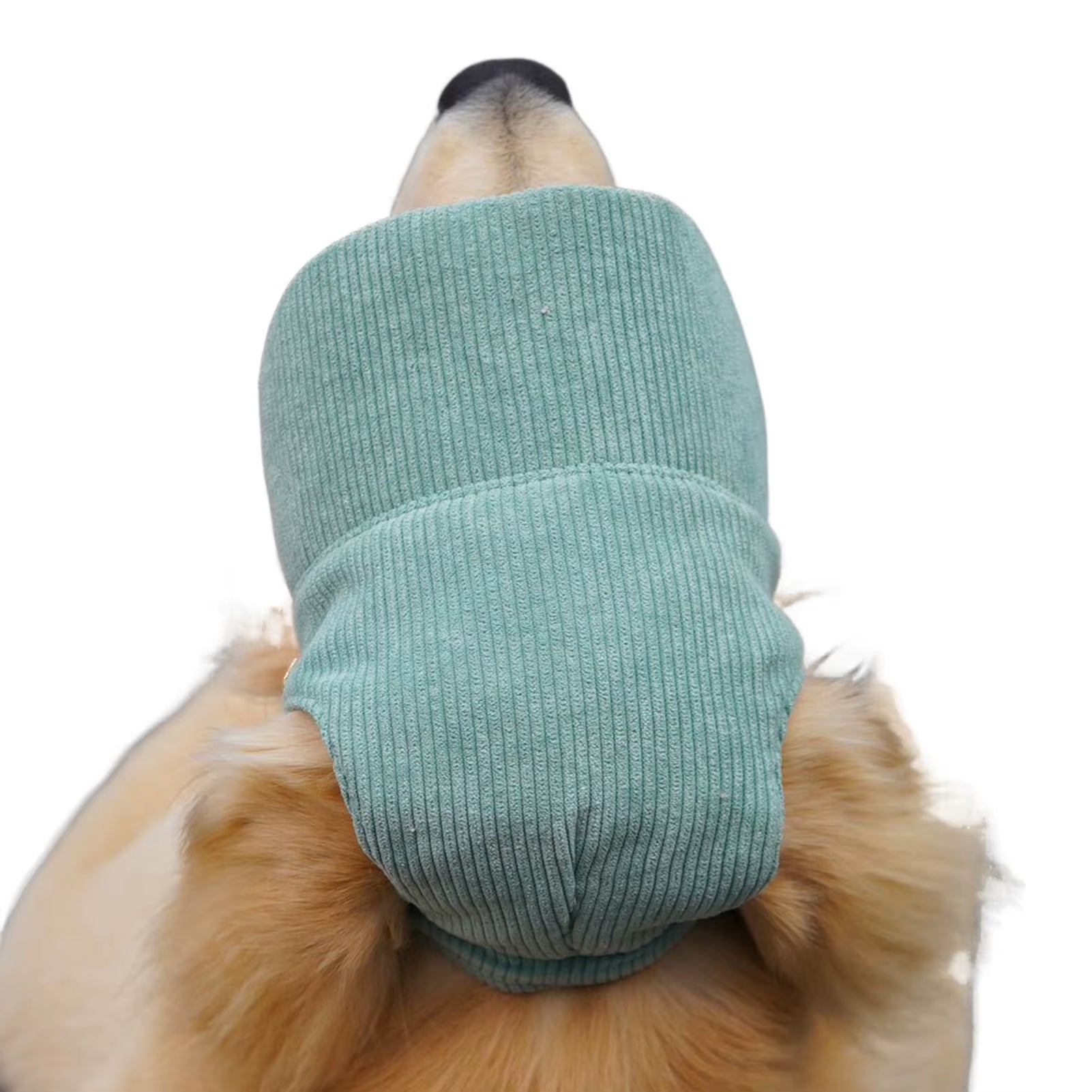 Pet Baseball Cap Breathable Lightweight Dog Hat for Small Medium Large Dogs