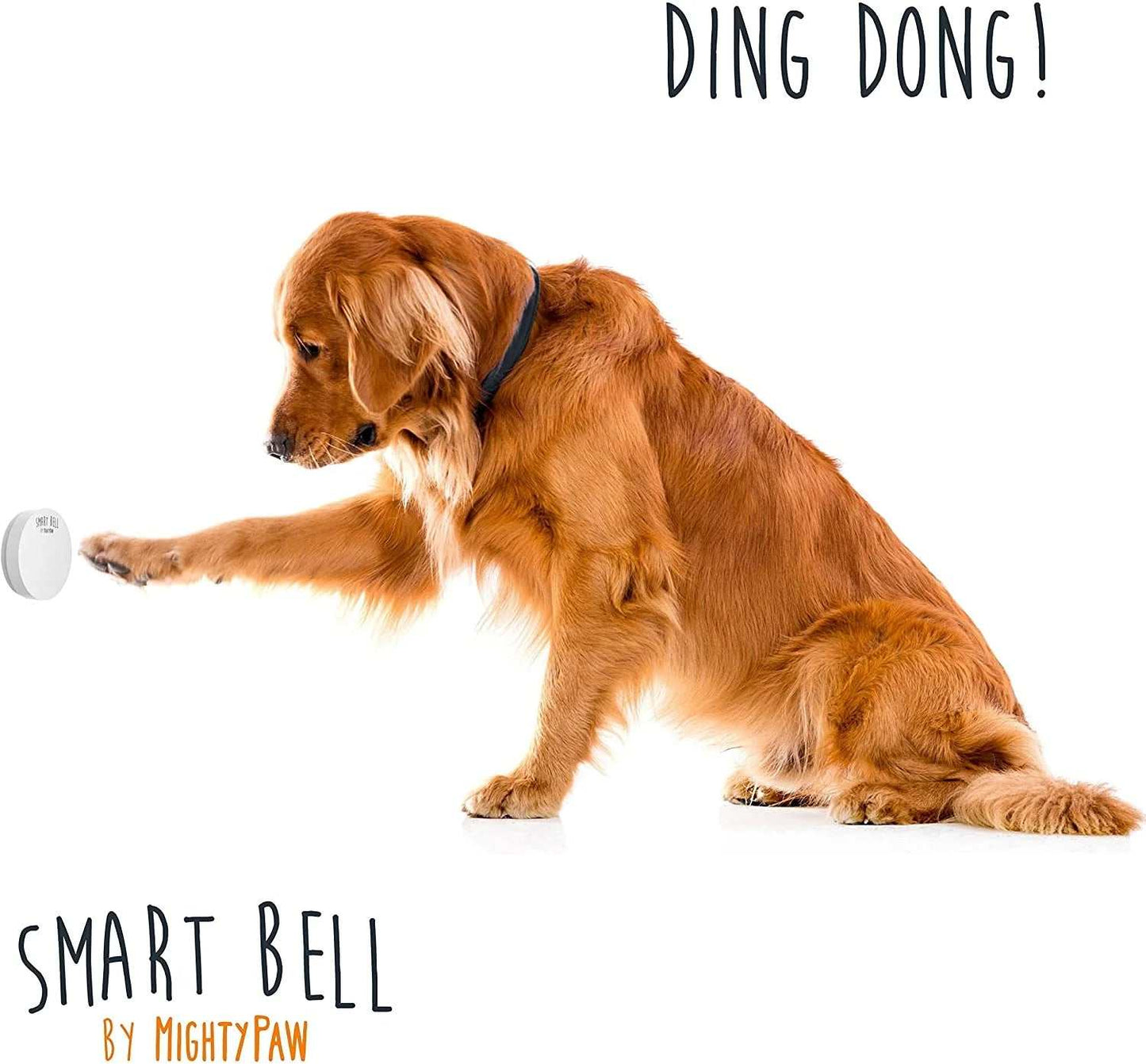 Smart Dog Bell 2.0 – Wireless Potty Training Bell for Dogs & Puppies..