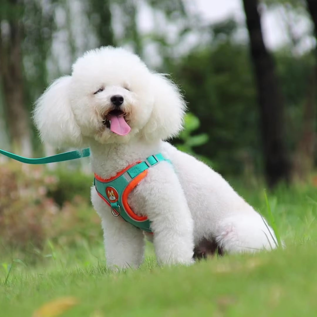 Soft Comfortable Dog Cat Harness Vest Reflective Breathable Mesh with Leash for Small Pet Adjustable No Pull Escape Proof Design