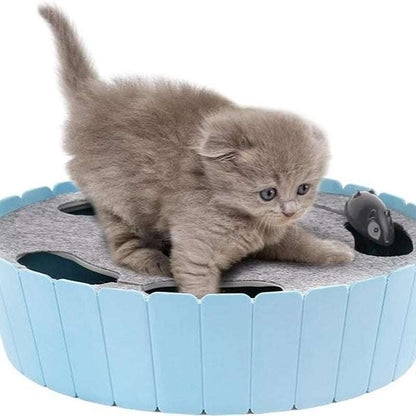 Pawaboo 4 Holes Whack-A-Mole Electric Cat Toy, Interactive Cat Toy with Running Mouse, Pop and Play Hide Seek Cat Toy,Pet Supplies