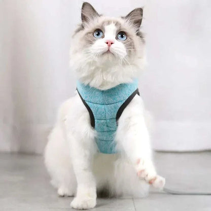 Cat Harness and Leash