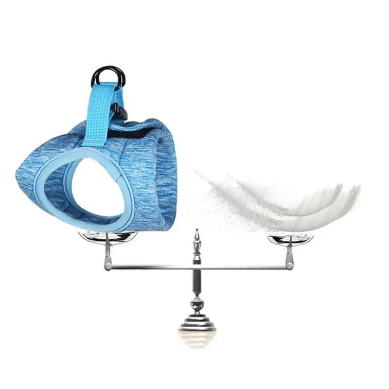 Cat Harness and Leash