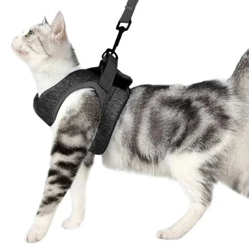 Cat Harness and Leash