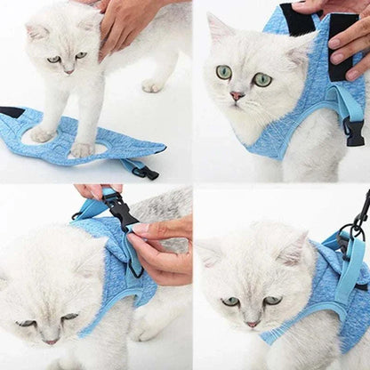 Cat Harness and Leash