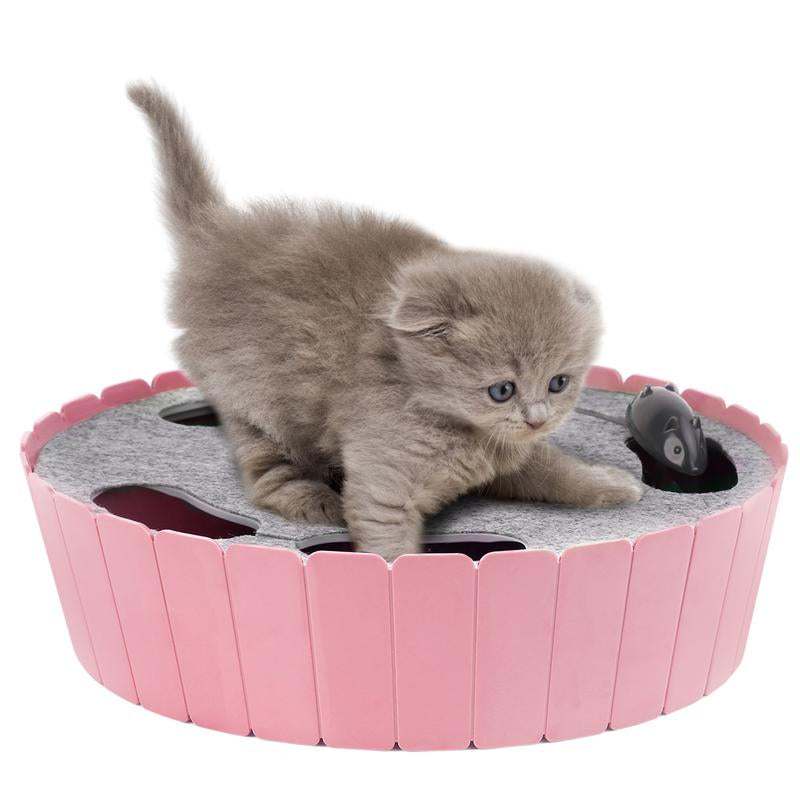 kitten playing with pink 4-Hole Whack-A-Mole electric cat toy with interactive running mouse