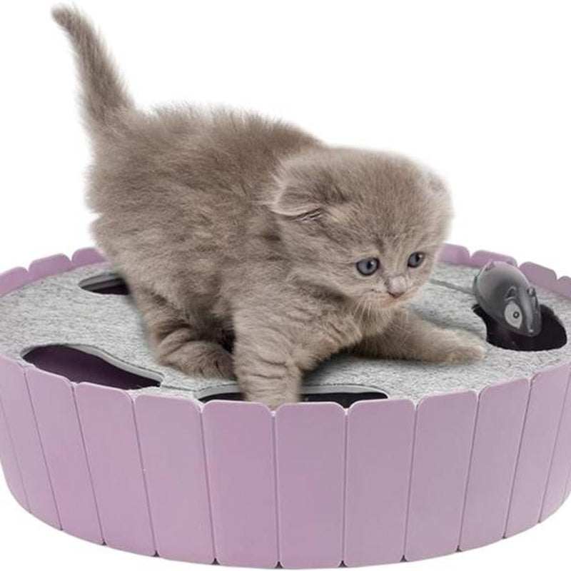 Pawaboo 4 Holes Whack-A-Mole Electric Cat Toy, Interactive Cat Toy with Running Mouse, Pop and Play Hide Seek Cat Toy,Pet Supplies